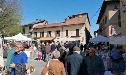 Domenica appuntamento con la "Fiera del Cardinale"