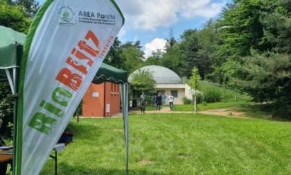 Laboratori ed esperienze per la Festa della Biodiversità al Parco Pineta