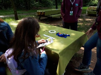 festa della biodiversità al parco pineta