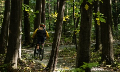 Pedalata in famiglia con le Guardie Ecologiche del Parco Pineta