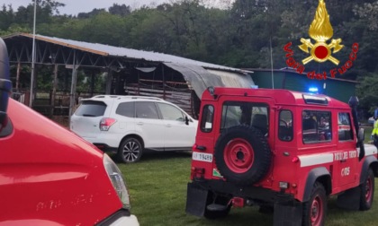 Tragedia in un'azienda agricola, 83enne muore incornato da un toro