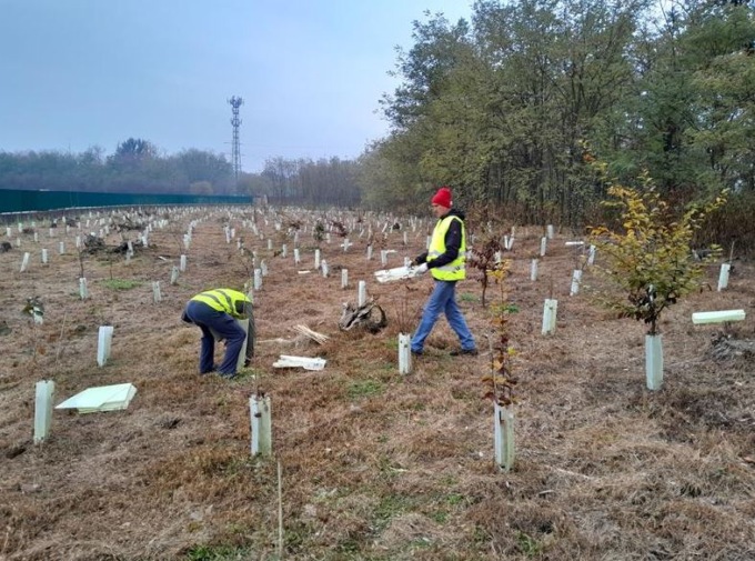 Parco dei Mughetti: al via la nuova campagna per diventare volontario civico