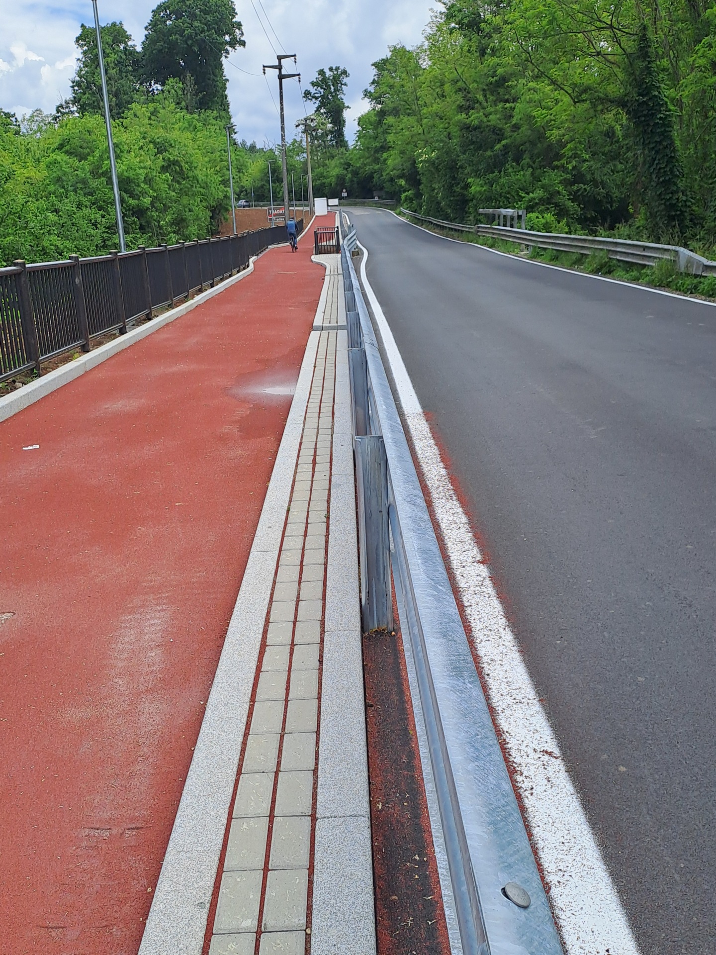 Pista ciclabile tradate venegono