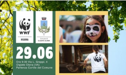 Giornata Ecologica con WWF Insubria, il Comune si mobilita per l'ambiente