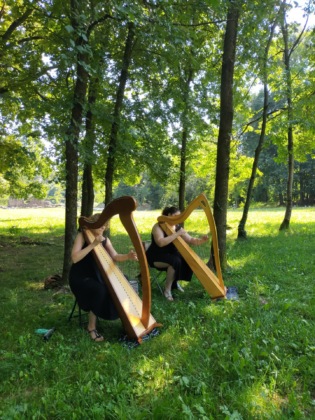 eventi parco pineta tradate