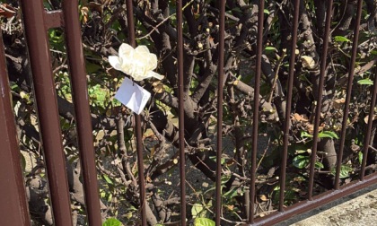 Omicidio Saronno, un fiore bianco sul luogo del delitto