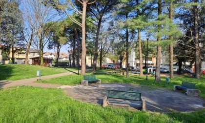 Parco Avis Aido diventa palestra all'aperto: ginnastica e socialità