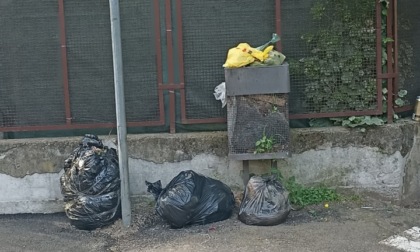 Sanzioni contro gli incivili dei rifiuti