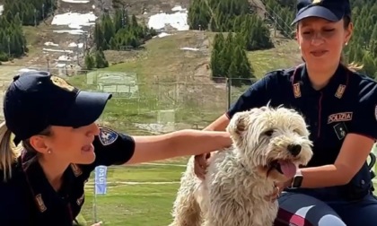 #SeNonTiPortoNonParto: campagna della Polizia contro l'abbandono degli animali