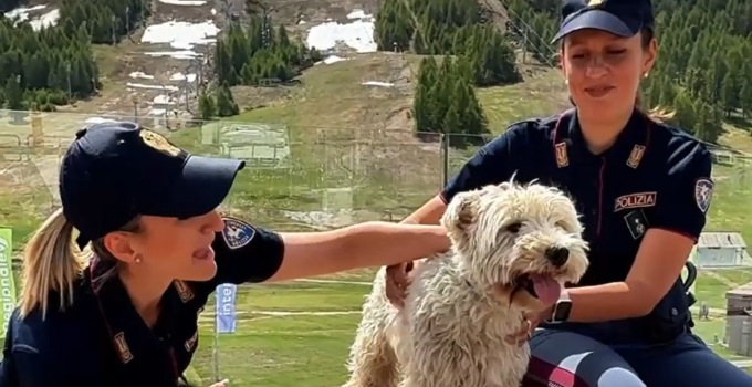 #SeNonTiPortoNonParto: campagna della Polizia contro l’abbandono degli animali