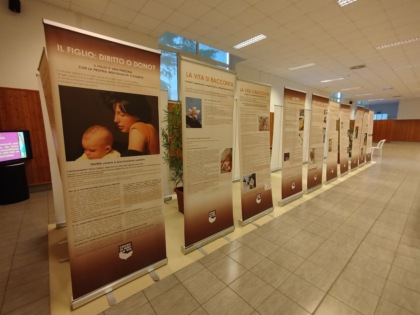 mostra cav busto arsizio