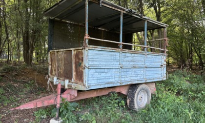 Postazioni abusive e trappole nel Parco Pineta