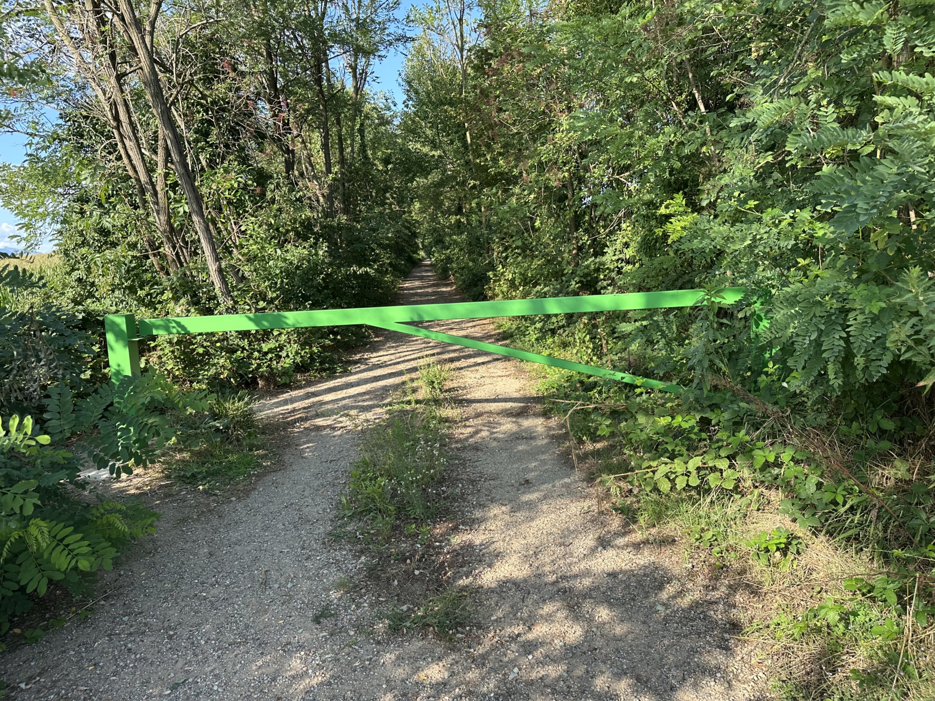 Postazioni abusive Parco Pineta