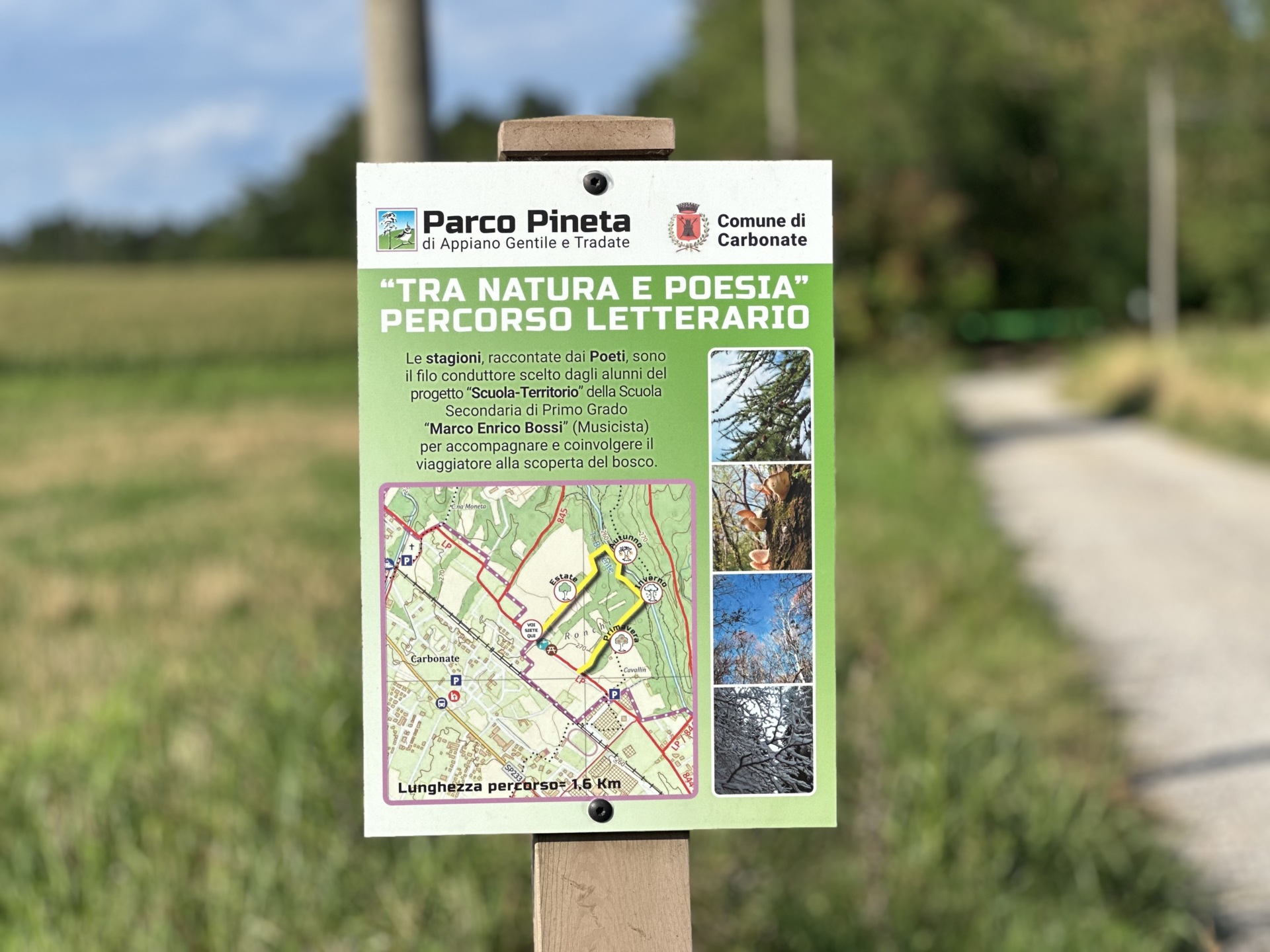 Postazioni abusive Parco Pineta