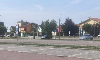 Sessanta alberi tagliati e mai sostituiti: l'allarme di Uboldo civica