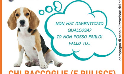 Obbligo per i proprietari di cani di portare con se dell'acqua per pulire la pipì di fido