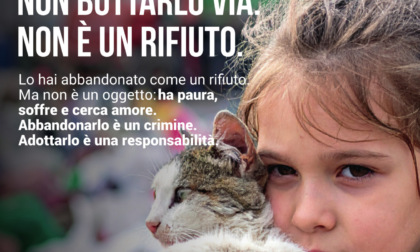 Comune ed Enpa insieme contro l'abbandono degli animali