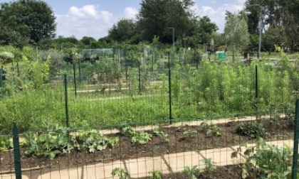 Variante al Pgt per far posto agli «orti urbani»