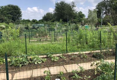 Variante al Pgt per far posto agli «orti urbani»