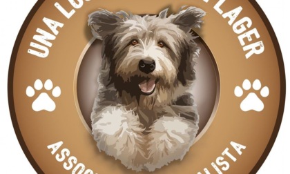 «Una Luce Fuori dal Lager: serve aiuto per i nostri cani»