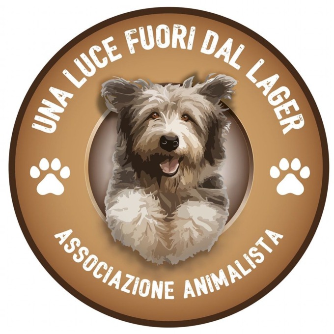 «Una Luce Fuori dal Lager: serve aiuto per i nostri cani»
