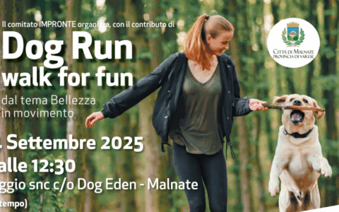 A spasso con il proprio amico a quattro zampe: arriva la Dog run