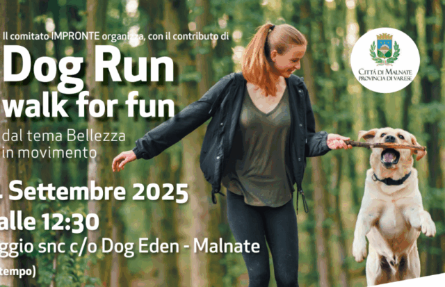 A spasso con il proprio amico a quattro zampe: arriva la Dog run