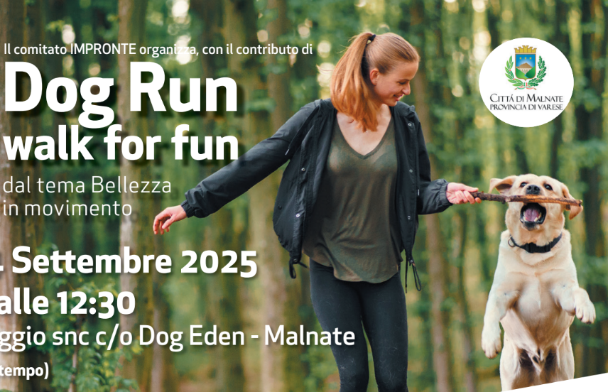 A spasso con il proprio amico a quattro zampe: arriva la Dog run