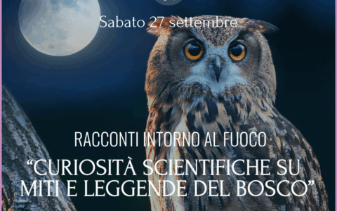 Miti e leggende del bosco intorno al fuoco nel Parco Pineta