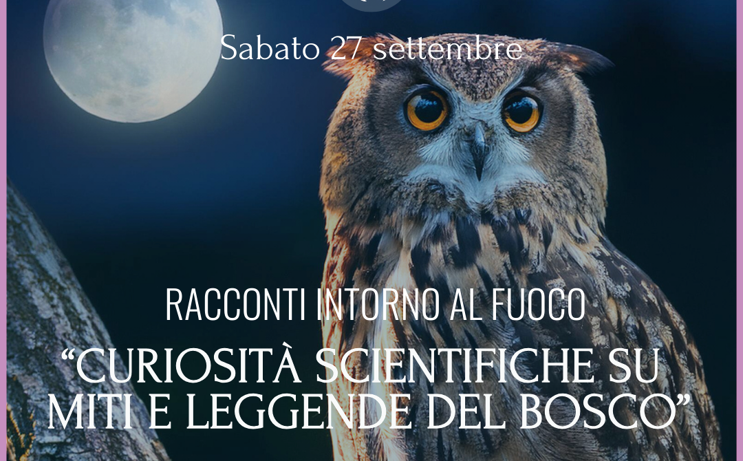 Miti e leggende del bosco intorno al fuoco nel Parco Pineta