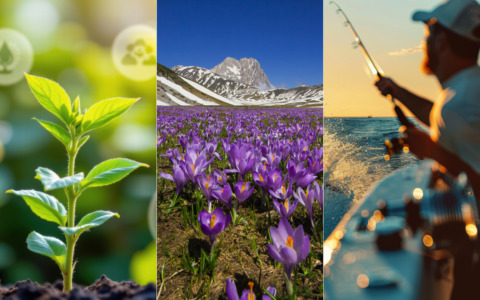 Tre nuove produzioni per AlmaTV-Marcopolo: focus su pesca, montagna e biodiversità