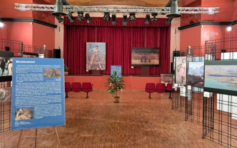 Viaggio artistico da Barlassina a Parigi… rimanendo a Cogliate
