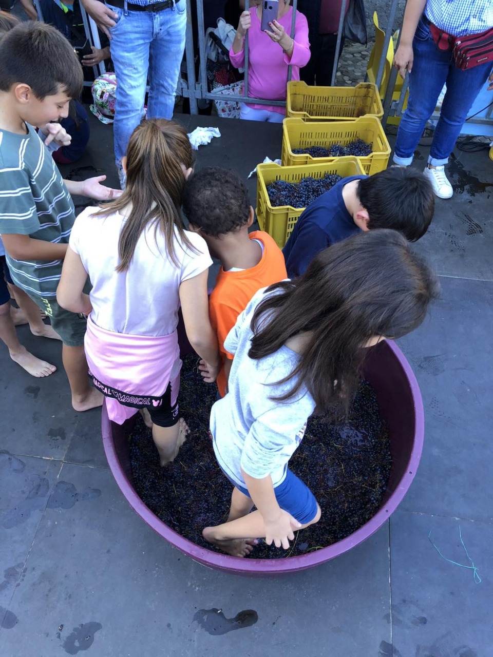Tutto pronto per la quinta edizione della “Sagra dell’uva”