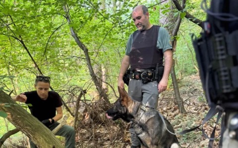 Controlli nei boschi: denunce e sequestro di droga e coltelli