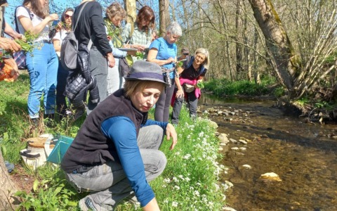 Una serie di eventi nel fine settimana alla Palude Brabbia