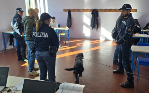 Cani antidroga a scuola: segnalati tre minorenni in possesso di hashish