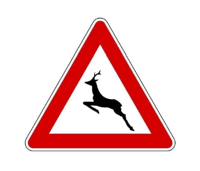 Parco dei Mughetti: segnalata la presenza di cervi, raccomandata prudenza alla guida