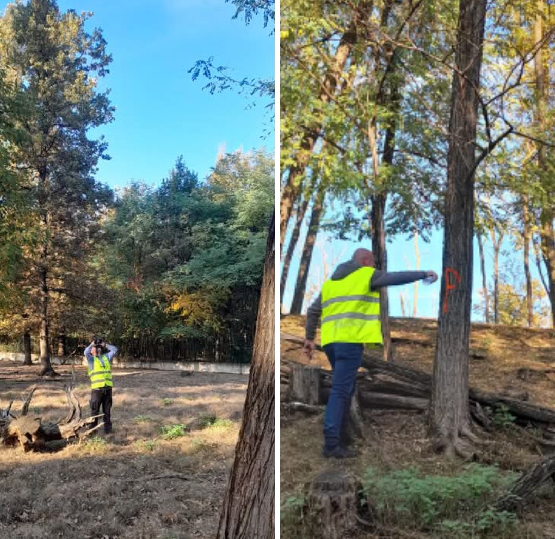 Lavori di miglioria per il Parco degli aironi
