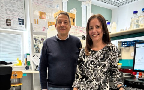 All’Insubria la plastica si trasforma in amminoacidi