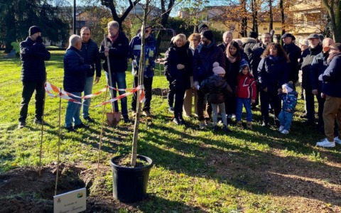 Un tiglio per Franco Turconi: la Giornata nazionale degli alberi con un gesto di gratitudine