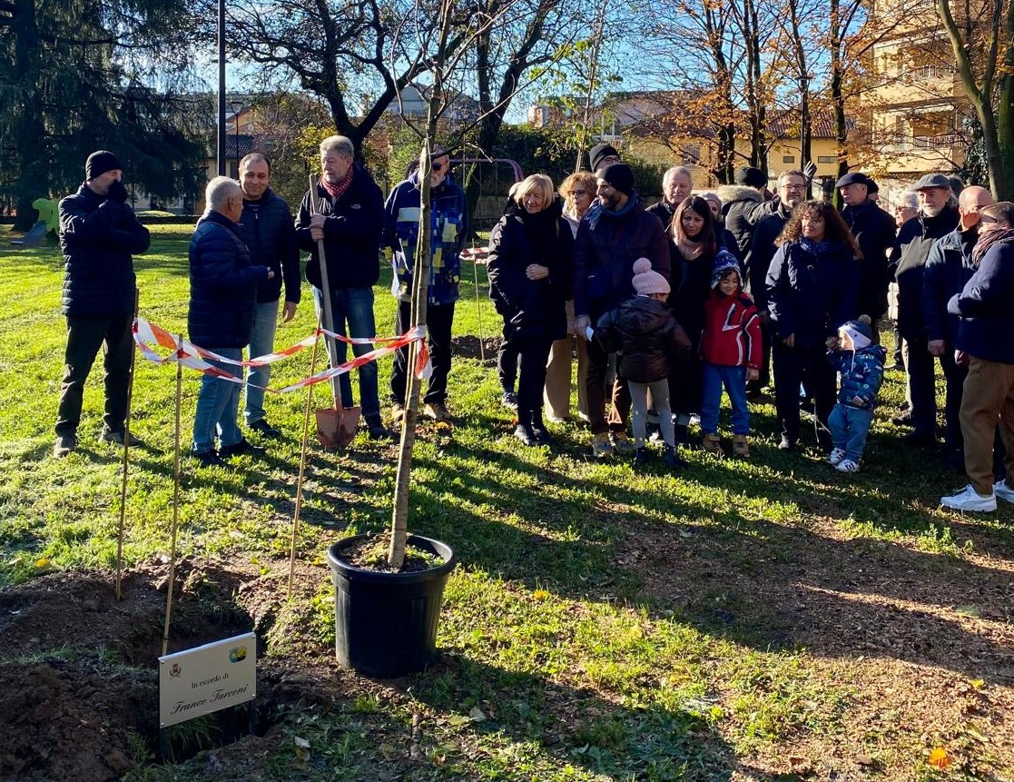 Un tiglio per Franco Turconi: la Giornata nazionale degli alberi con un gesto di gratitudine
