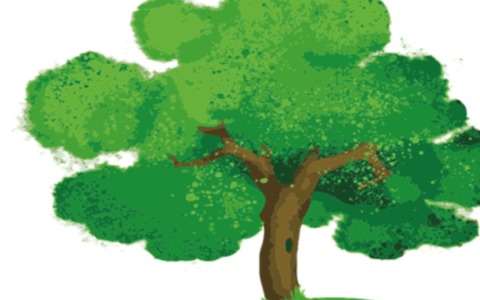 Si celebra a Uboldo la Giornata dell’albero