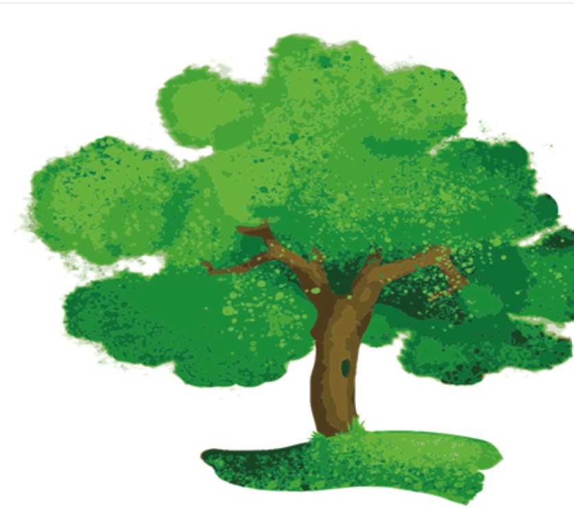 Si celebra a Uboldo la Giornata dell’albero