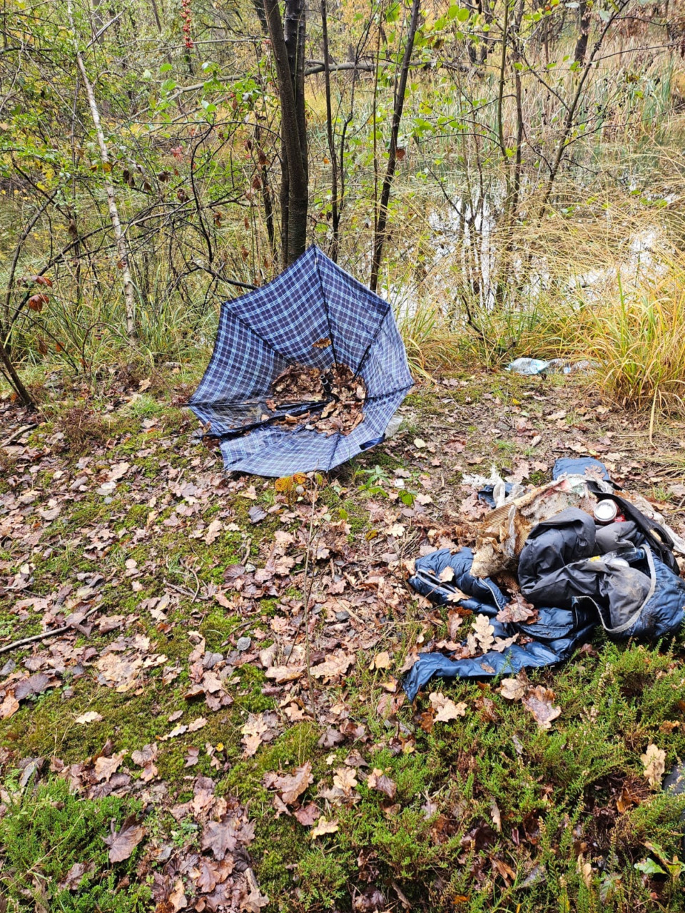 controlli parco groane ceriano laghetto