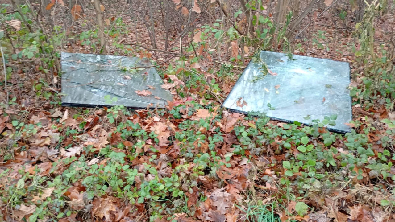 Abbandona lastra di vetro nei boschi: catturato dalla fototrappola