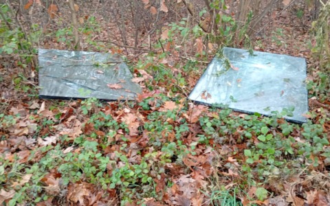 Abbandona lastra di vetro nei boschi: catturato dalla fototrappola