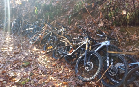 Oltre 70mila euro di bici rubate a Lainate “ricompaiono” nei boschi di Tradate