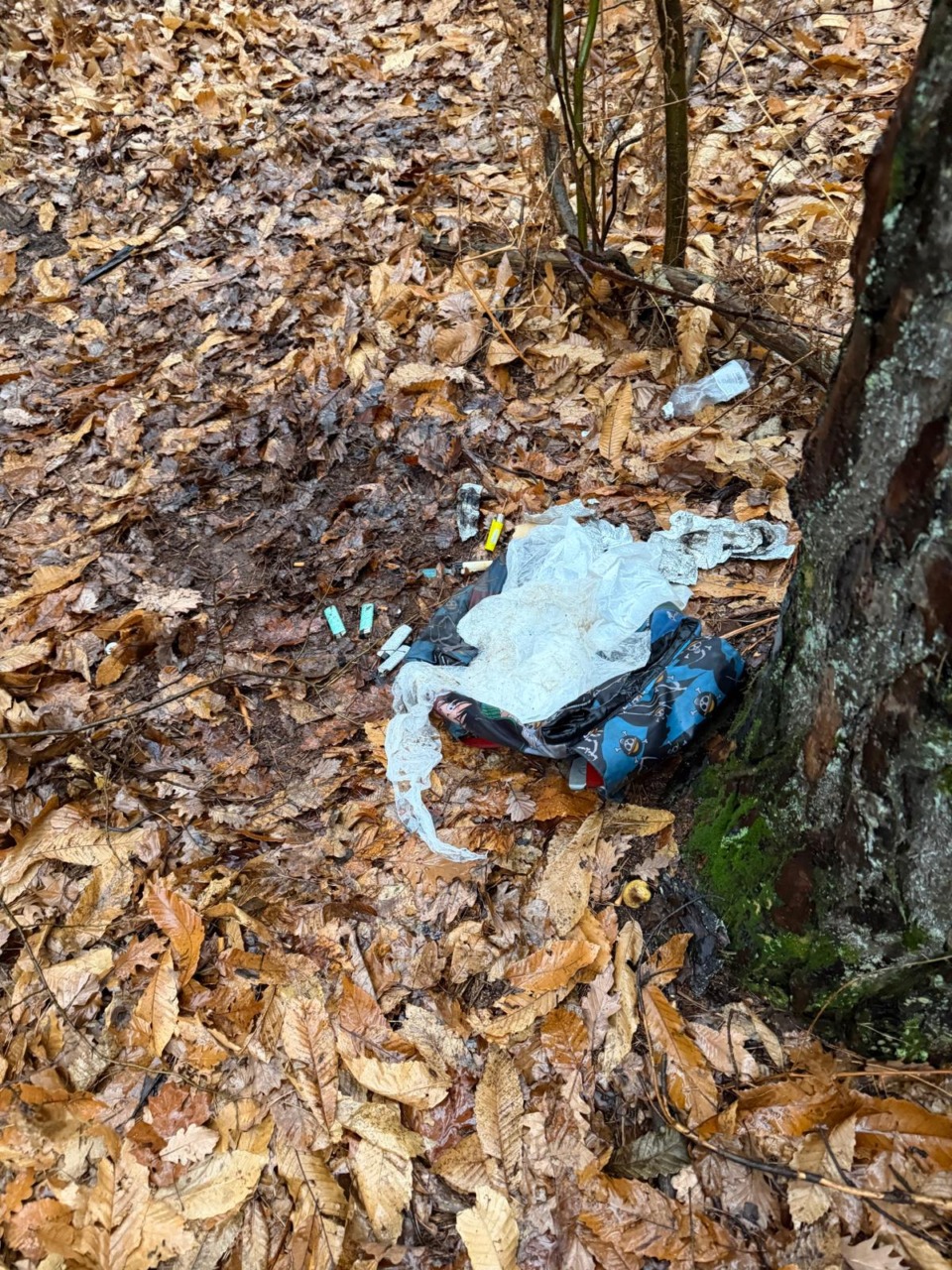 bivacchi smantellati dalla polizia locale di venegono superiore