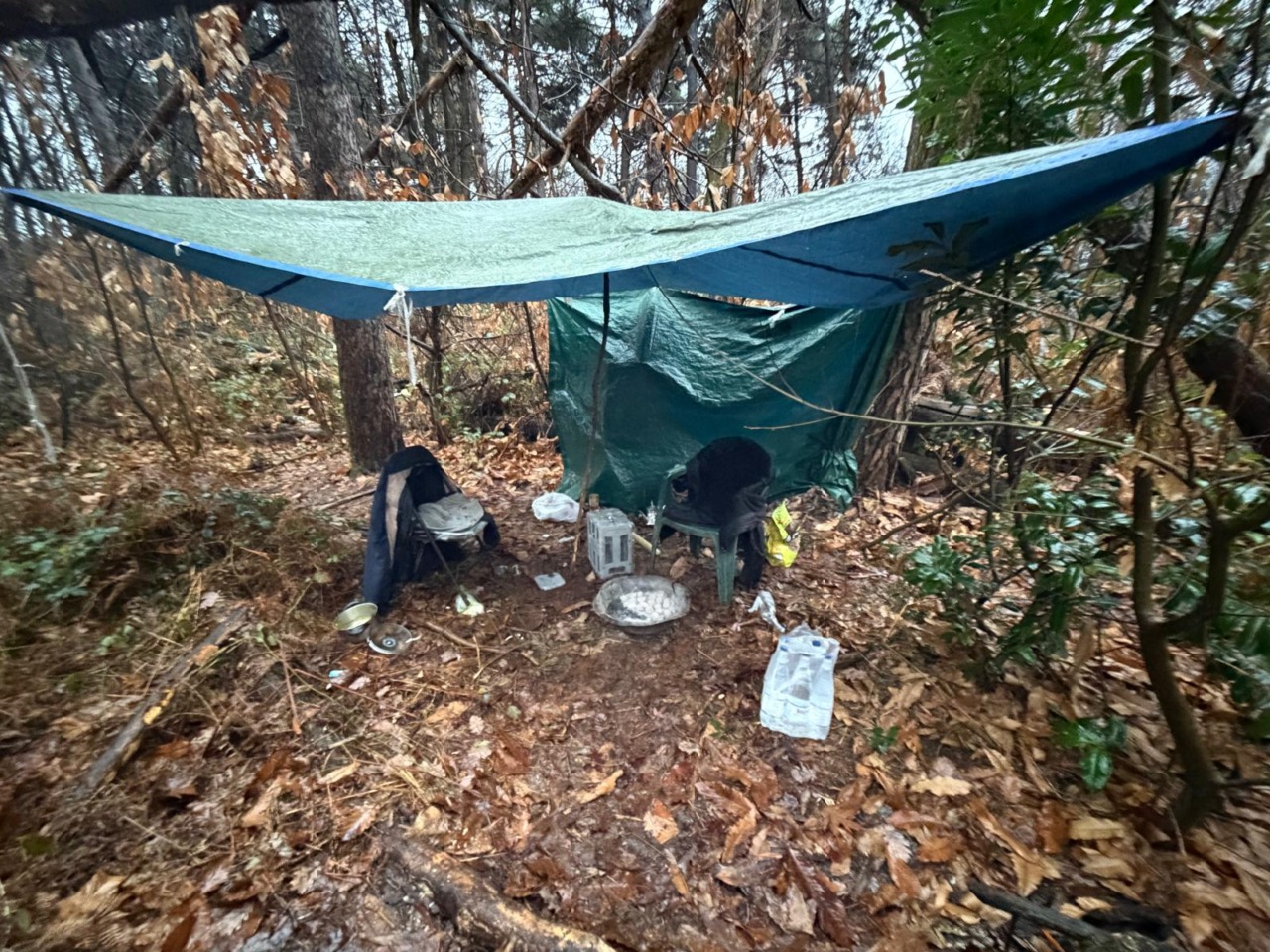 Controlli della Locale, smantellato un bivacco nei boschi