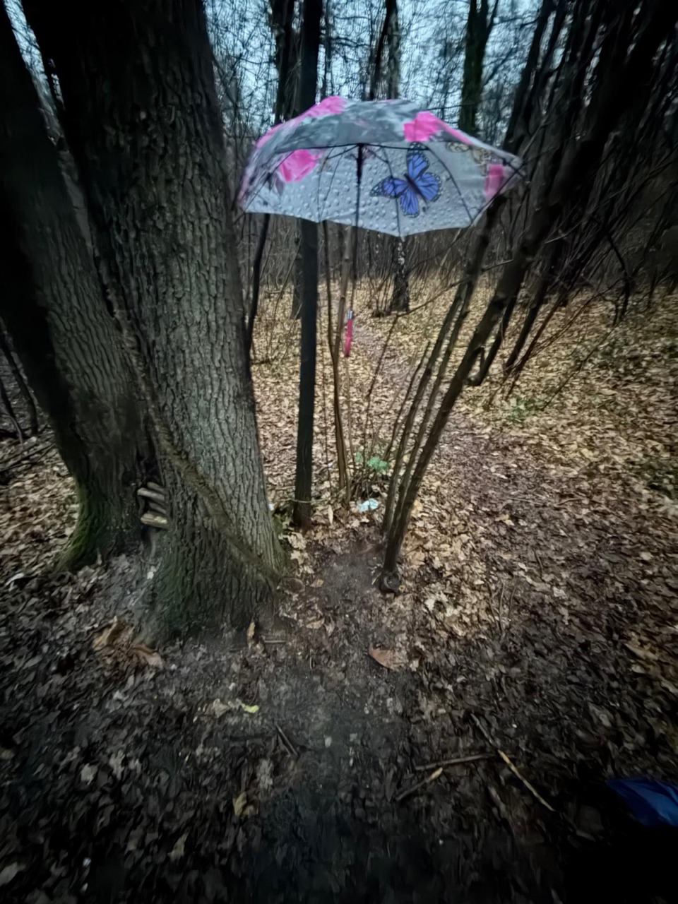 bivacchi smantellati dalla polizia locale di venegono superiore